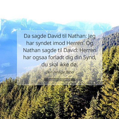 Picture 07 - 2 Samuel 12:13 DA1871 - Da sagde David til Nathan: Jeg har syndet imod - Bible Verse Picture