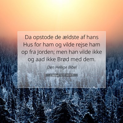 Picture 07 - 2 Samuel 12:17 DA1871 - Da opstode de ældste af hans Hus for ham og - Bible Verse Picture