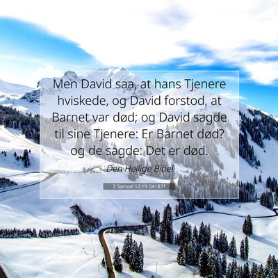 Picture 07 - 2 Samuel 12:19 DA1871 - Men David saa, at hans Tjenere hviskede, og David - Bible Verse Picture