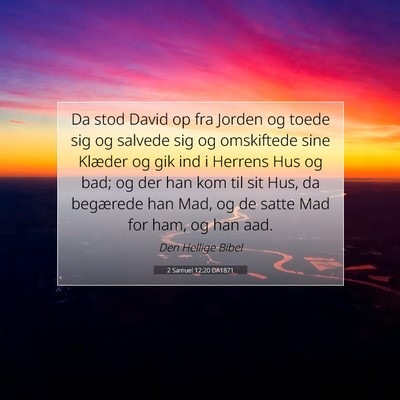 Picture 07 - 2 Samuel 12:20 DA1871 - Da stod David op fra Jorden og toede sig og - Bible Verse Picture