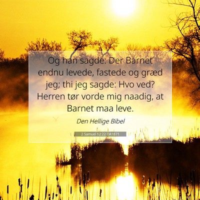 Picture 07 - 2 Samuel 12:22 DA1871 - Og han sagde: Der Barnet endnu levede, fastede og - Bible Verse Picture