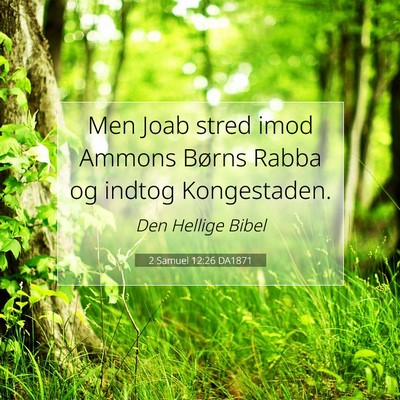 Picture 07 - 2 Samuel 12:26 DA1871 - Men Joab stred imod Ammons Børns Rabba og indtog - Bible Verse Picture