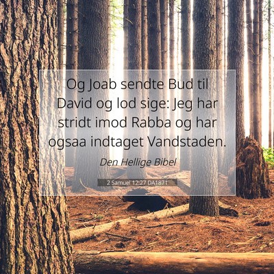 Picture 07 - 2 Samuel 12:27 DA1871 - Og Joab sendte Bud til David og lod sige: Jeg har - Bible Verse Picture
