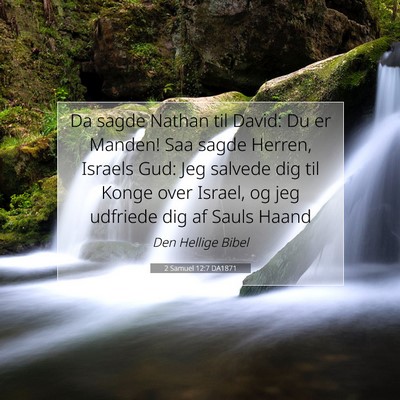 Picture 07 - 2 Samuel 12:7 DA1871 - Da sagde Nathan til David: Du er Manden! Saa - Bible Verse Picture