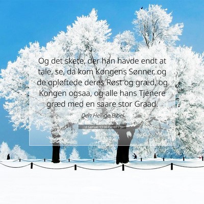 Picture 07 - 2 Samuel 13:36 DA1871 - Og det skete, der han havde endt at tale, se, da - Bible Verse Picture