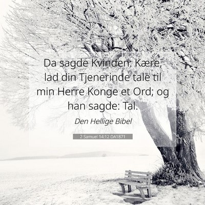 Picture 07 - 2 Samuel 14:12 DA1871 - Da sagde Kvinden: Kære, lad din Tjenerinde tale - Bible Verse Picture