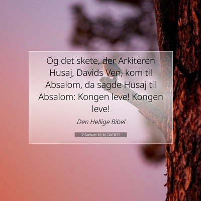 Picture 07 - 2 Samuel 16:16 DA1871 - Og det skete, der Arkiteren Husaj, Davids Ven, - Bible Verse Picture
