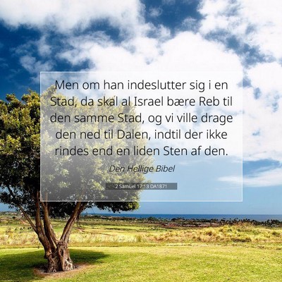Picture 07 - 2 Samuel 17:13 DA1871 - Men om han indeslutter sig i en Stad, da skal al - Bible Verse Picture
