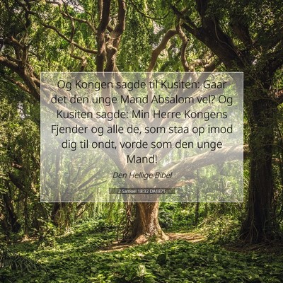 Picture 07 - 2 Samuel 18:32 DA1871 - Og Kongen sagde til Kusiten: Gaar det den unge - Bible Verse Picture