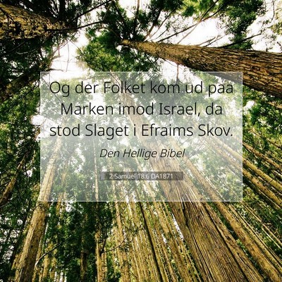 Picture 07 - 2 Samuel 18:6 DA1871 - Og der Folket kom ud paa Marken imod Israel, da - Bible Verse Picture