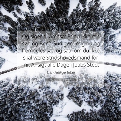 Picture 07 - 2 Samuel 19:13 DA1871 - Og siger til Amasa: Er du ikke mit Kød og Ben? - Bible Verse Picture