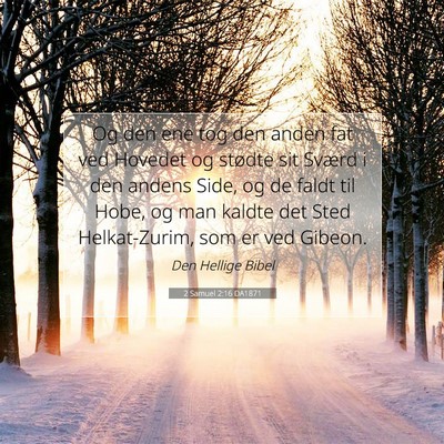Picture 07 - 2 Samuel 2:16 DA1871 - Og den ene tog den anden fat ved Hovedet og - Bible Verse Picture
