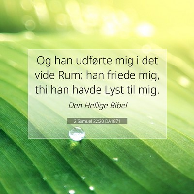 Picture 07 - 2 Samuel 22:20 DA1871 - Og han udførte mig i det vide Rum; han friede - Bible Verse Picture