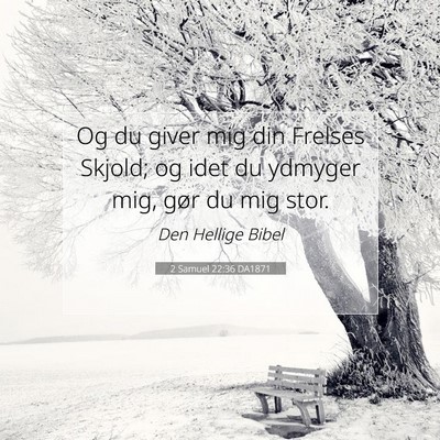 Picture 07 - 2 Samuel 22:36 DA1871 - Og du giver mig din Frelses Skjold; og idet du - Bible Verse Picture