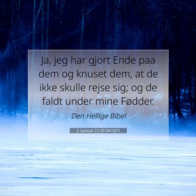 Picture 07 - 2 Samuel 22:39 DA1871 - Ja, jeg har gjort Ende paa dem og knuset dem, at - Bible Verse Picture