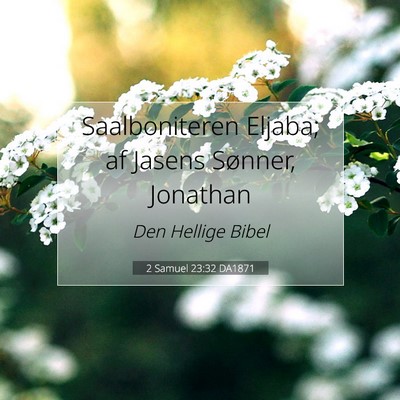 Picture 07 - 2 Samuel 23:32 DA1871 - Saalboniteren Eljaba; af Jasens Sønner, - Bible Verse Picture