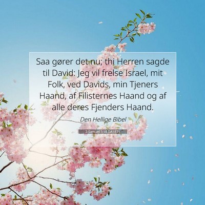 Picture 07 - 2 Samuel 3:18 DA1871 - Saa gører det nu; thi Herren sagde til David: - Bible Verse Picture