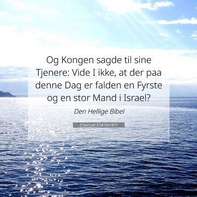 Picture 07 - 2 Samuel 3:38 DA1871 - Og Kongen sagde til sine Tjenere: Vide I ikke, at - Bible Verse Picture