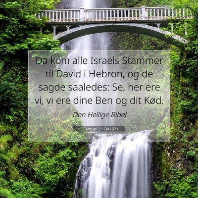 Picture 07 - 2 Samuel 5:1 DA1871 - Da kom alle Israels Stammer til David i Hebron, - Bible Verse Picture