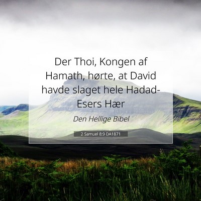 Picture 07 - 2 Samuel 8:9 DA1871 - Der Thoi, Kongen af Hamath, hørte, at David - Bible Verse Picture