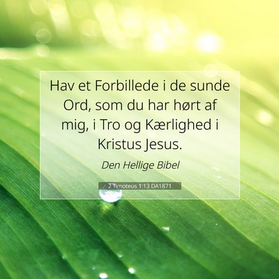 Picture 07 - 2 Timoteus 1:13 DA1871 - Hav et Forbillede i de sunde Ord, som du har - Bible Verse Picture