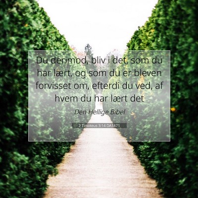 Picture 07 - 2 Timoteus 3:14 DA1871 - Du derimod, bliv i det, som du har lært, og som - Bible Verse Picture