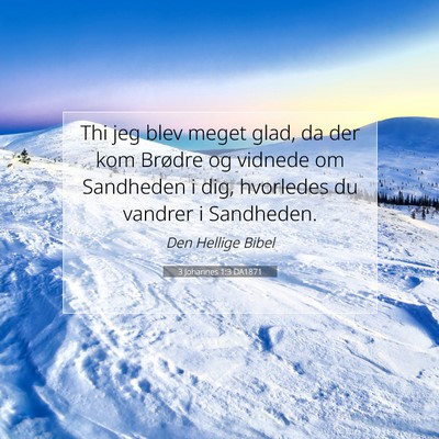 Picture 07 - 3 Johannes 1:3 DA1871 - Thi jeg blev meget glad, da der kom Brødre og - Bible Verse Picture