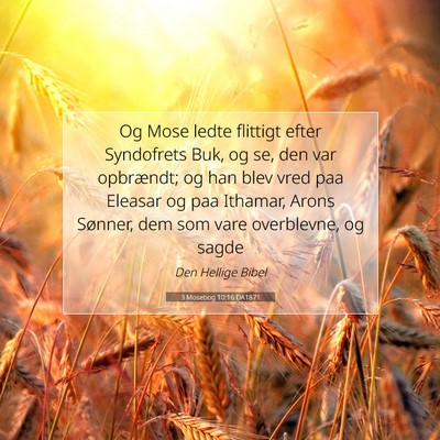 Picture 07 - 3 Mosebog 10:16 DA1871 - Og Mose ledte flittigt efter Syndofrets Buk, og - Bible Verse Picture