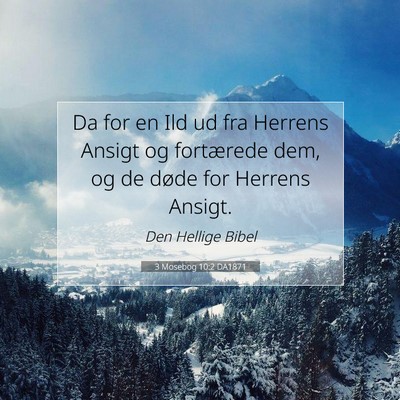 Picture 07 - 3 Mosebog 10:2 DA1871 - Da for en Ild ud fra Herrens Ansigt og fortærede - Bible Verse Picture