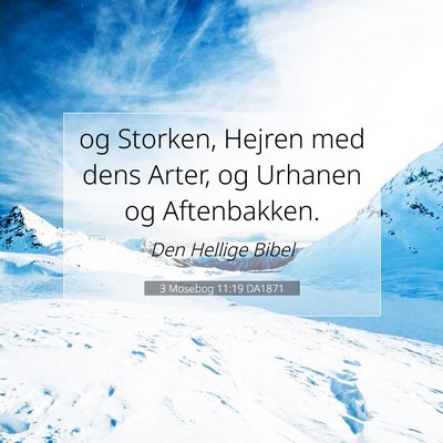 Picture 07 - 3 Mosebog 11:19 DA1871 - og Storken, Hejren med dens Arter, og Urhanen og - Bible Verse Picture