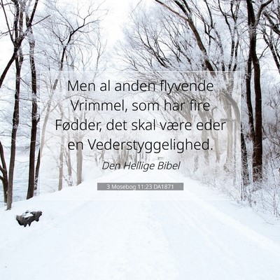 Picture 07 - 3 Mosebog 11:23 DA1871 - Men al anden flyvende Vrimmel, som har fire - Bible Verse Picture