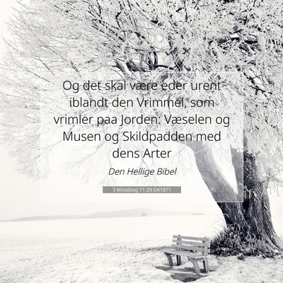 Picture 07 - 3 Mosebog 11:29 DA1871 - Og det skal være eder urent iblandt den Vrimmel, - Bible Verse Picture