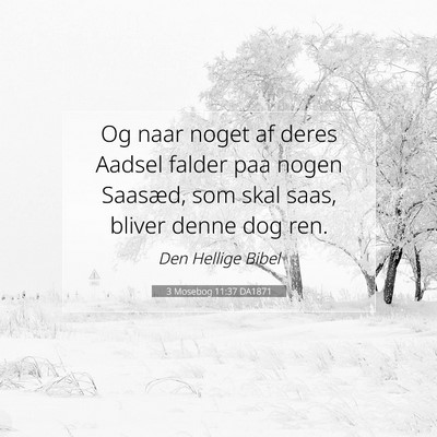 Picture 07 - 3 Mosebog 11:37 DA1871 - Og naar noget af deres Aadsel falder paa nogen - Bible Verse Picture