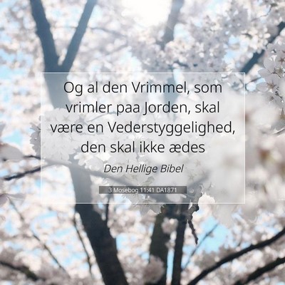 Picture 07 - 3 Mosebog 11:41 DA1871 - Og al den Vrimmel, som vrimler paa Jorden, skal - Bible Verse Picture