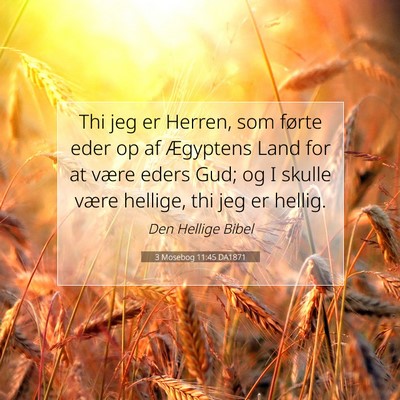 Picture 07 - 3 Mosebog 11:45 DA1871 - Thi jeg er Herren, som førte eder op af - Bible Verse Picture