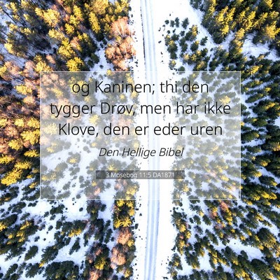 Picture 07 - 3 Mosebog 11:5 DA1871 - og Kaninen; thi den tygger Drøv, men har ikke - Bible Verse Picture