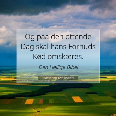 Picture 07 - 3 Mosebog 12:3 DA1871 - Og paa den ottende Dag skal hans Forhuds Kød - Bible Verse Picture