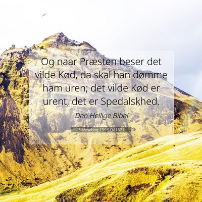 Picture 07 - 3 Mosebog 13:15 DA1871 - Og naar Præsten beser det vilde Kød, da skal - Bible Verse Picture