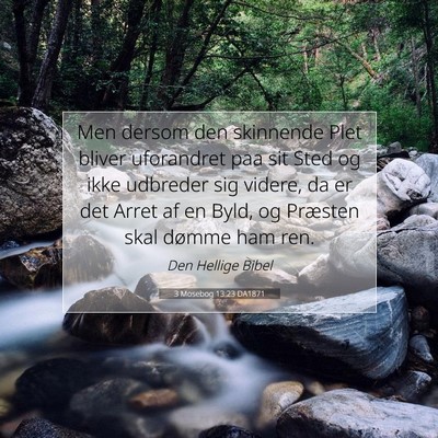 Picture 07 - 3 Mosebog 13:23 DA1871 - Men dersom den skinnende Plet bliver uforandret - Bible Verse Picture