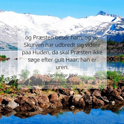 Picture 07 - 3 Mosebog 13:36 DA1871 - og Præsten beser ham, og se, Skurven har udbredt - Bible Verse Picture
