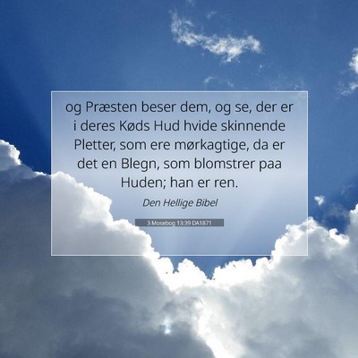 Picture 07 - 3 Mosebog 13:39 DA1871 - og Præsten beser dem, og se, der er i deres - Bible Verse Picture