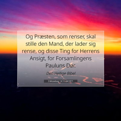 Picture 07 - 3 Mosebog 14:11 DA1871 - Og Præsten, som renser, skal stille den Mand, - Bible Verse Picture