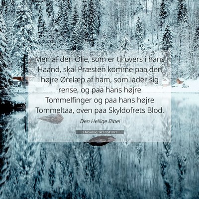 Picture 07 - 3 Mosebog 14:17 DA1871 - Men af den Olie, som er til overs i hans Haand, - Bible Verse Picture