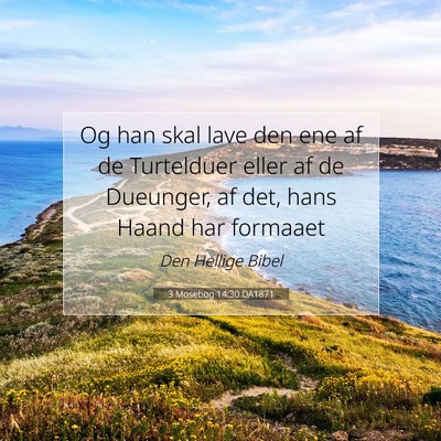 Picture 07 - 3 Mosebog 14:30 DA1871 - Og han skal lave den ene af de Turtelduer eller - Bible Verse Picture