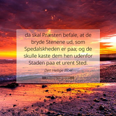 Picture 07 - 3 Mosebog 14:40 DA1871 - da skal Præsten befale, at de bryde Stenene ud, - Bible Verse Picture