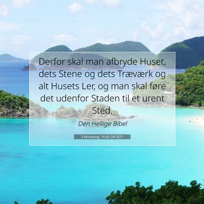 Picture 07 - 3 Mosebog 14:45 DA1871 - Derfor skal man afbryde Huset, dets Stene og dets - Bible Verse Picture