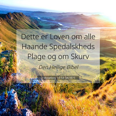 Picture 07 - 3 Mosebog 14:54 DA1871 - Dette er Loven om alle Haande Spedalskheds Plage - Bible Verse Picture