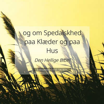 Picture 07 - 3 Mosebog 14:55 DA1871 - og om Spedalskhed paa Klæder og paa - Bible Verse Picture