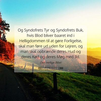 Picture 07 - 3 Mosebog 16:27 DA1871 - Og Syndofrets Tyr og Syndofrets Buk, hvis Blod - Bible Verse Picture