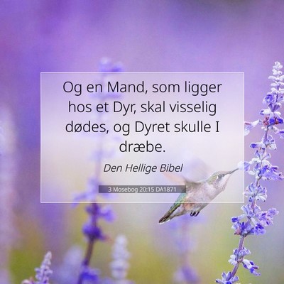 Picture 07 - 3 Mosebog 20:15 DA1871 - Og en Mand, som ligger hos et Dyr, skal visselig - Bible Verse Picture